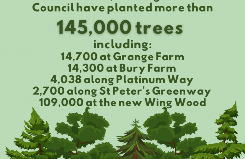 145,000 trees