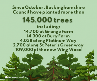 145,000 trees
